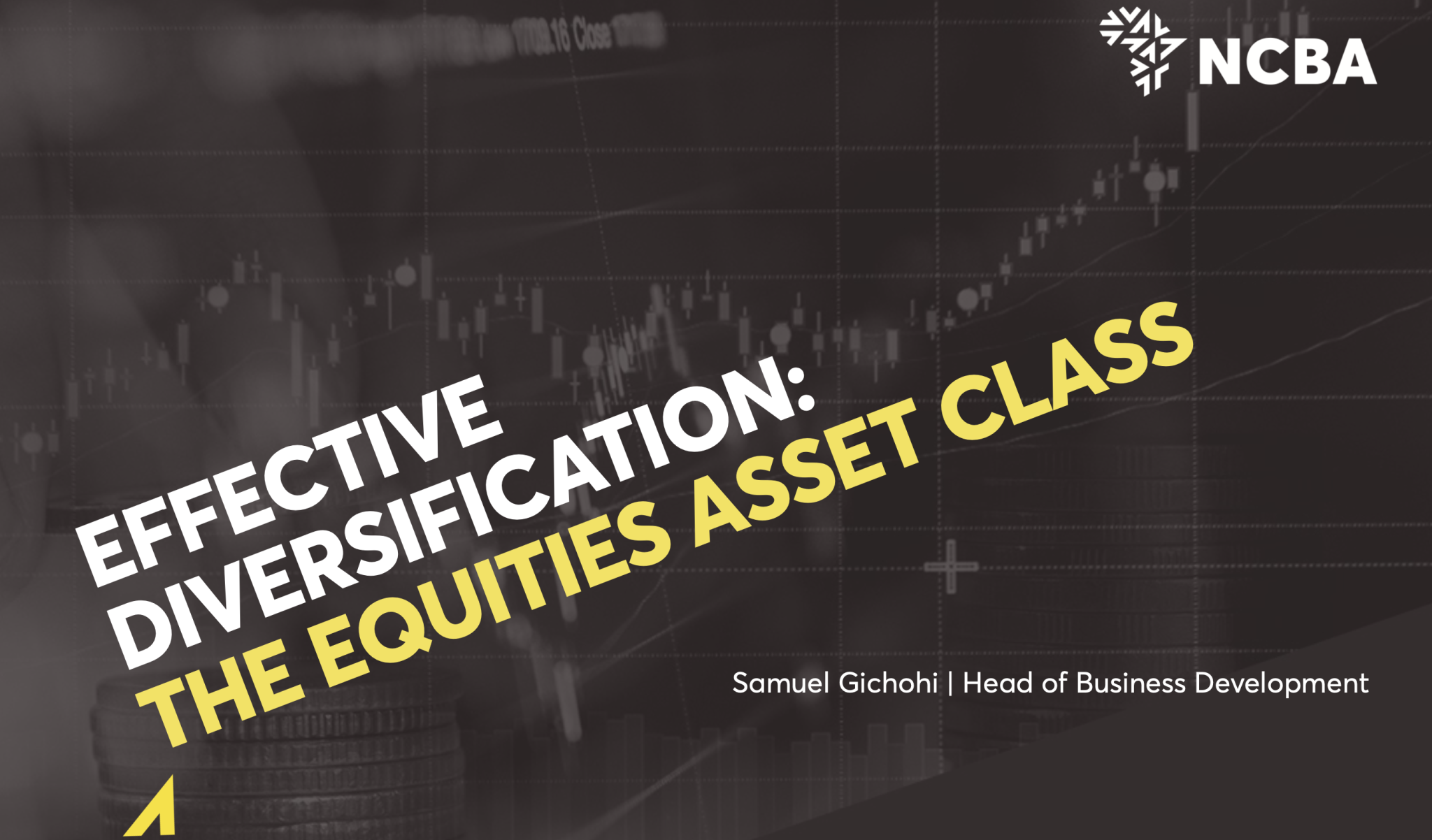 Effective Diversification: The Equities Asset Class - NCBA Investment ...